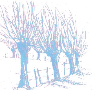 Buurtvereniging D'n Beemd